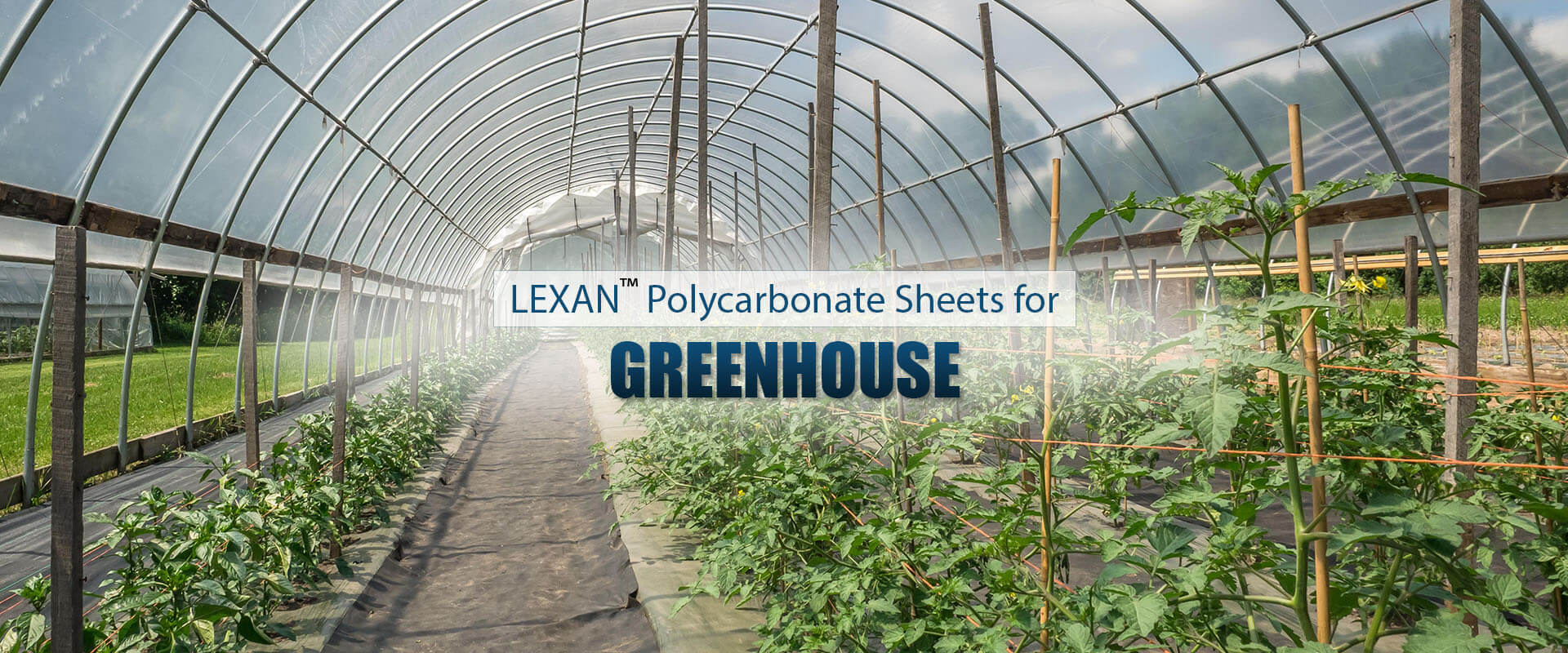 LEXAN™ Polycarbonate Sheets