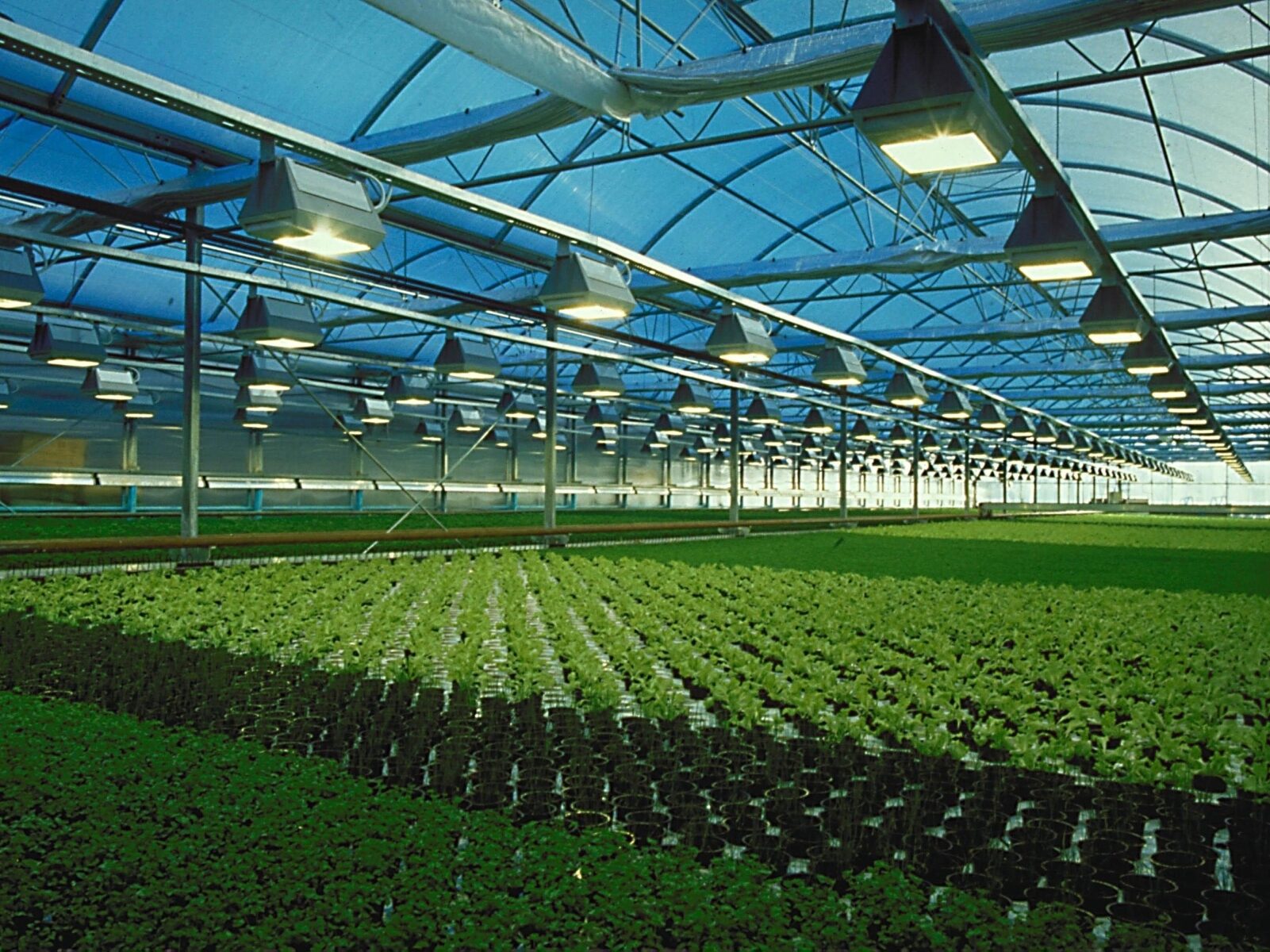 Best Polycarbonate Sheet For Greenhouse Applications
