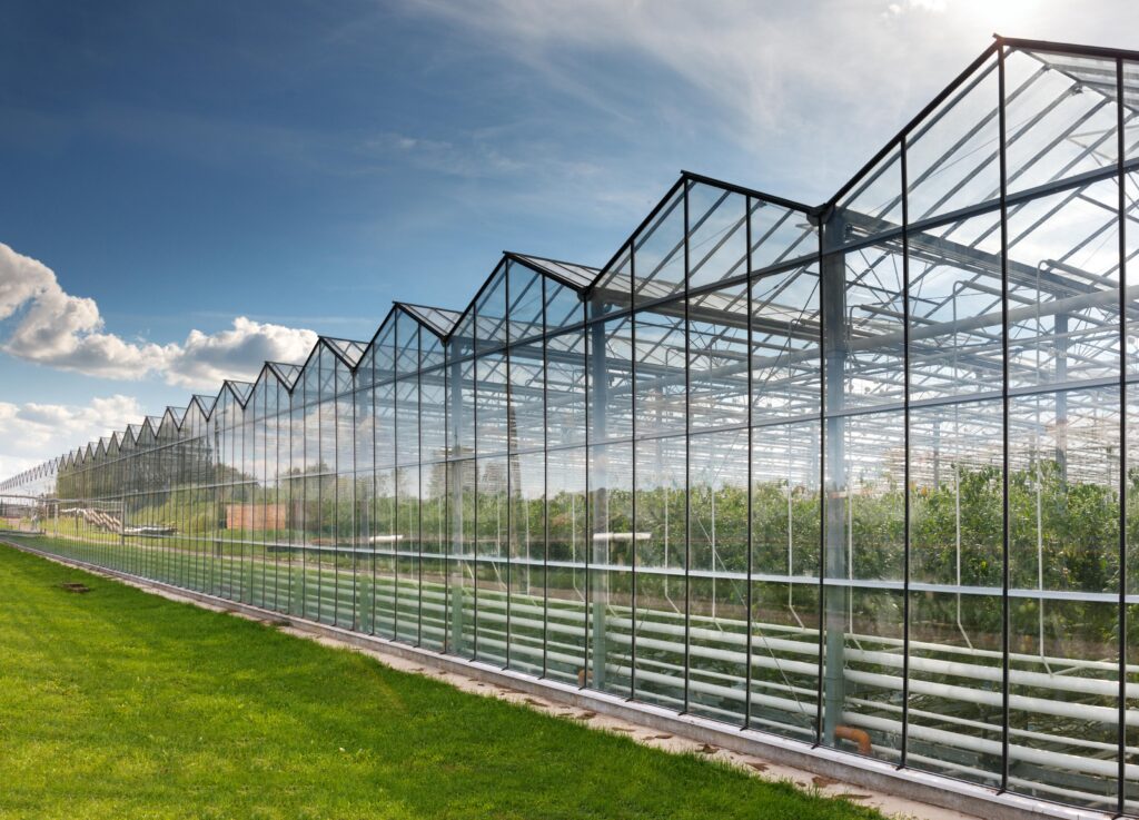 Polycarbonate Sheets For Greenhouses